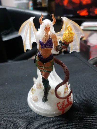 https://makerworld.bblmw.com/makerworld/comment/20260131/3512225983/7824e069133f5744.jpg