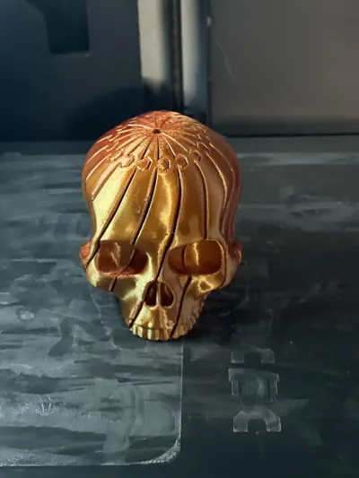 https://makerworld.bblmw.com/makerworld/comment/20260131/3524559480/793ffa7ec7812dad.jpg