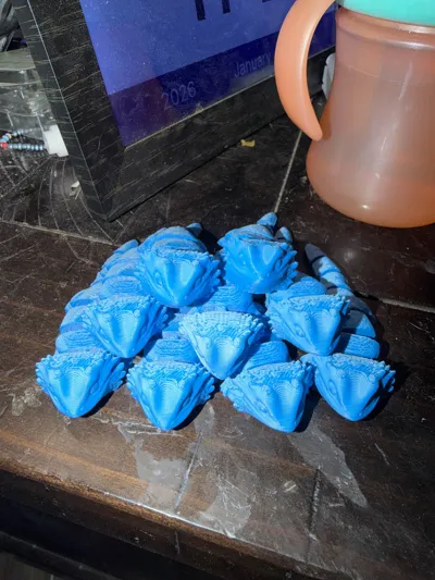 https://makerworld.bblmw.com/makerworld/comment/20260131/3594915769/74b1d93f6fd0b9ef.jpg