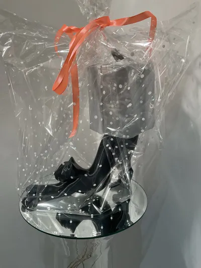 https://makerworld.bblmw.com/makerworld/comment/20260131/3769041419/a03c9fc458bbf819.jpg