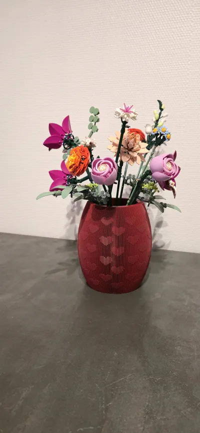 https://makerworld.bblmw.com/makerworld/comment/20260131/3910603172/20d425318e04340b.jpg