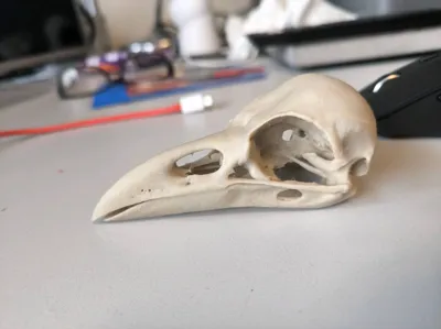 https://makerworld.bblmw.com/makerworld/comment/20260131/4113995234/4e18c64704548b87.jpg