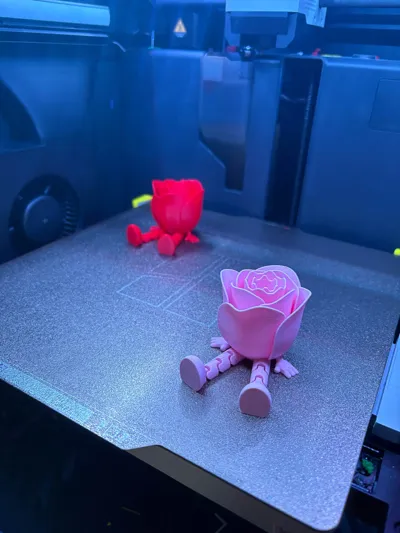 https://makerworld.bblmw.com/makerworld/comment/20260131/4196656090/37dd980975bb650d.jpg