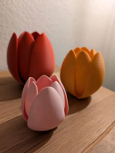 https://makerworld.bblmw.com/makerworld/comment/20260131/474023381/846390b16a46f39e.jpg
