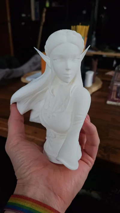 https://makerworld.bblmw.com/makerworld/comment/20260131/698654698/26276cf3fa211d5b.jpg