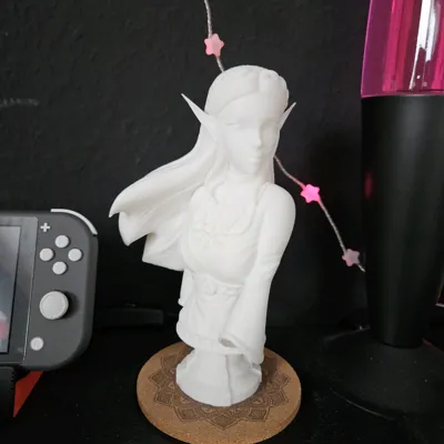 https://makerworld.bblmw.com/makerworld/comment/20260131/698654698/6fb1330c73d4087f.jpg