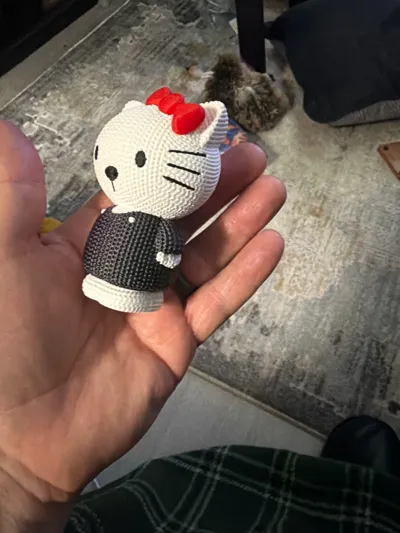 https://makerworld.bblmw.com/makerworld/comment/20260131/853172961/8ee5f5c99544e7c8.jpg