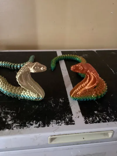 https://makerworld.bblmw.com/makerworld/comment/20260201/1444419561/e84c84d36b10e245.jpg