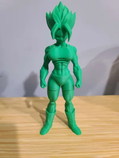 https://makerworld.bblmw.com/makerworld/comment/20260201/1624250515/a5a1b3d8ee720f9a.jpg