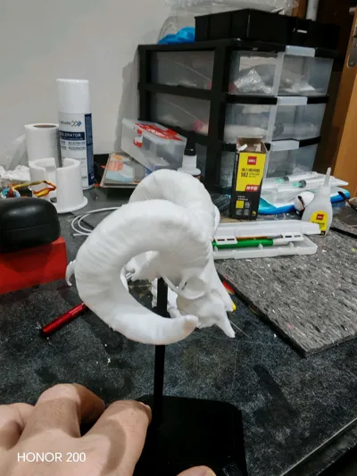 https://makerworld.bblmw.com/makerworld/comment/20260201/169687764/87716b64048ebca0.jpg