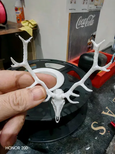 https://makerworld.bblmw.com/makerworld/comment/20260201/169687764/893a32e5329f49fc.jpg