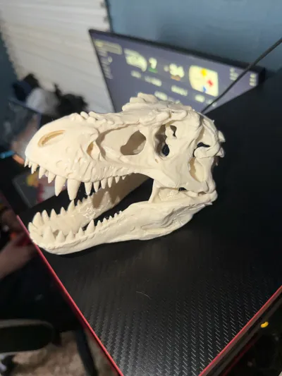 https://makerworld.bblmw.com/makerworld/comment/20260201/172821654/7acf5f863800865e.jpg