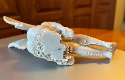 https://makerworld.bblmw.com/makerworld/comment/20260201/1757475839/b11a8643ea610a33.jpg