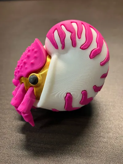 https://makerworld.bblmw.com/makerworld/comment/20260201/2146845614/3a3b888a6e0dde18.jpg