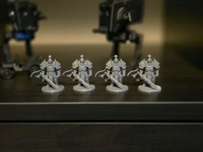 https://makerworld.bblmw.com/makerworld/comment/20260201/2755615559/e798702b6890ac0d.jpg