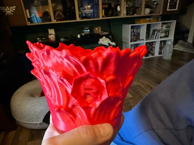 https://makerworld.bblmw.com/makerworld/comment/20260201/2794435529/54dbdc0a37579317.jpg