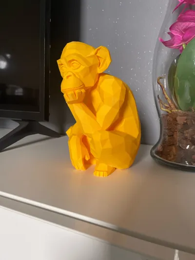 https://makerworld.bblmw.com/makerworld/comment/20260201/2870316614/2c0ee55e8292dd49.jpg