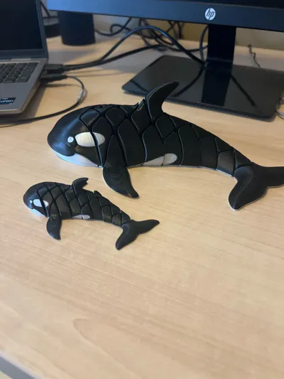 https://makerworld.bblmw.com/makerworld/comment/20260201/2888246112/691567e286464064.jpg