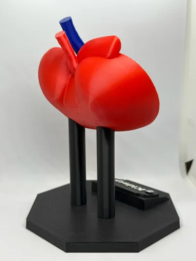 https://makerworld.bblmw.com/makerworld/comment/20260201/2925524788/3cd39dad0d006f71.jpg