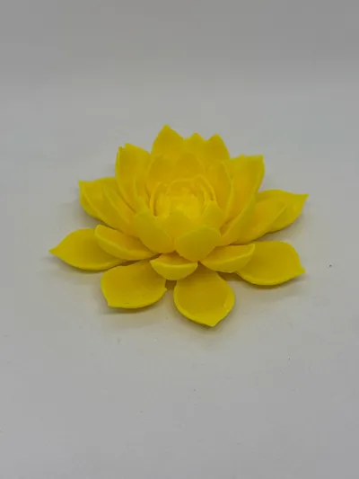 https://makerworld.bblmw.com/makerworld/comment/20260201/2925524788/7b258aff3db42350.jpg