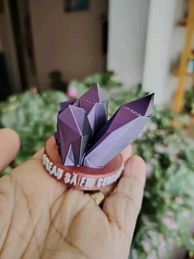 https://makerworld.bblmw.com/makerworld/comment/20260201/29440448/6fe12f155655a613.jpg