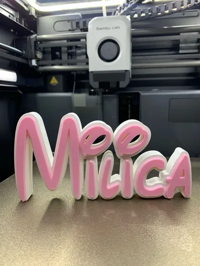 https://makerworld.bblmw.com/makerworld/comment/20260201/2944570590/6d31592827d8d681.jpg