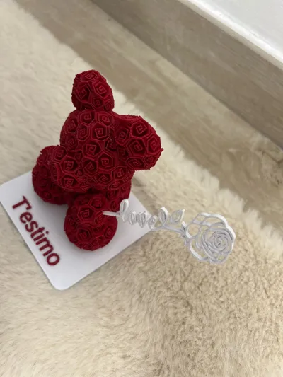 https://makerworld.bblmw.com/makerworld/comment/20260201/3120069822/cb5e571813214a3b.jpg