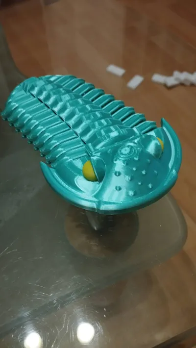 https://makerworld.bblmw.com/makerworld/comment/20260201/3189901765/7c3719e0589f39d8.jpg