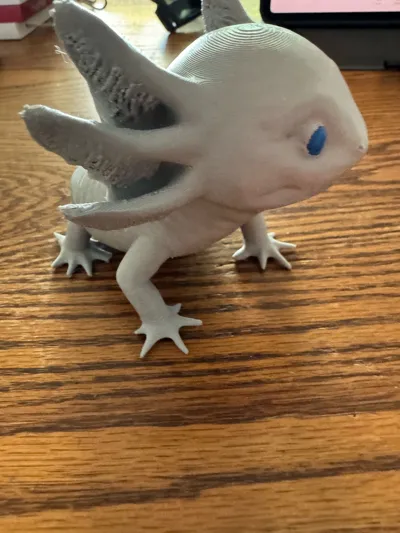 https://makerworld.bblmw.com/makerworld/comment/20260201/3208256246/4176acfa90abe997.jpg