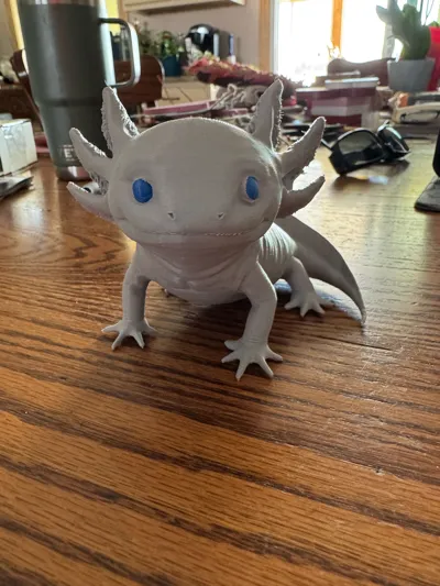 https://makerworld.bblmw.com/makerworld/comment/20260201/3208256246/6aa614c26e9ba5c6.jpg