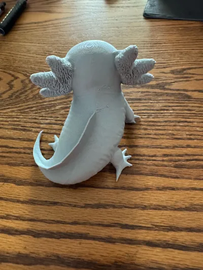 https://makerworld.bblmw.com/makerworld/comment/20260201/3208256246/c0c009257a7a94b7.jpg