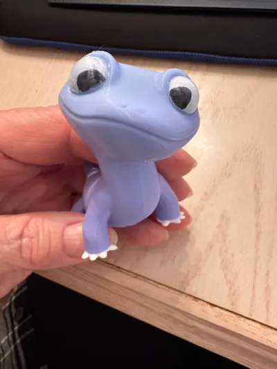 https://makerworld.bblmw.com/makerworld/comment/20260201/353183475/3592398065dcdcf4.jpg
