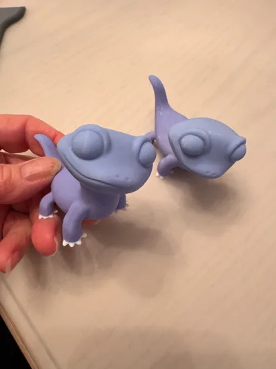 https://makerworld.bblmw.com/makerworld/comment/20260201/353183475/4698637c424909b1.jpg