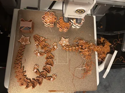 https://makerworld.bblmw.com/makerworld/comment/20260201/3668655903/f677693c5d904797.jpg