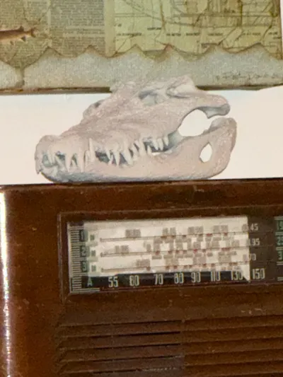 https://makerworld.bblmw.com/makerworld/comment/20260201/381977434/aeab33e7cc171330.jpg