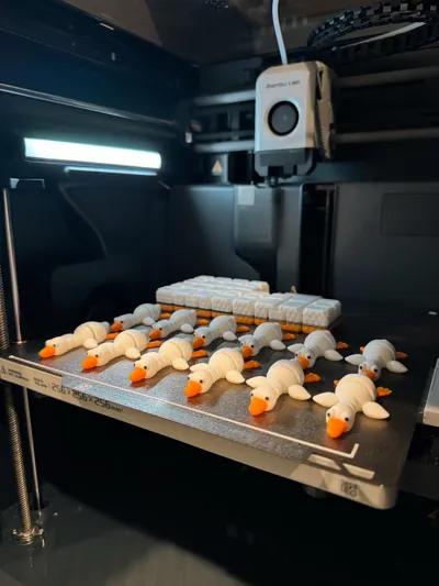 https://makerworld.bblmw.com/makerworld/comment/20260201/408649632/de7c063390d5e3cd.jpg
