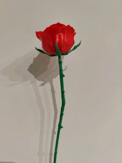 https://makerworld.bblmw.com/makerworld/comment/20260201/4106838750/d2efc0dbc9c474a2.jpg