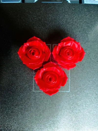 https://makerworld.bblmw.com/makerworld/comment/20260201/4106838750/e394e62757bb84ca.jpg