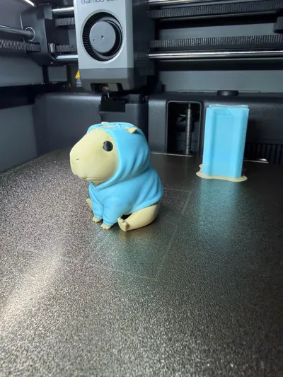 https://makerworld.bblmw.com/makerworld/comment/20260201/4288975574/929871a430d1b0e3.jpg