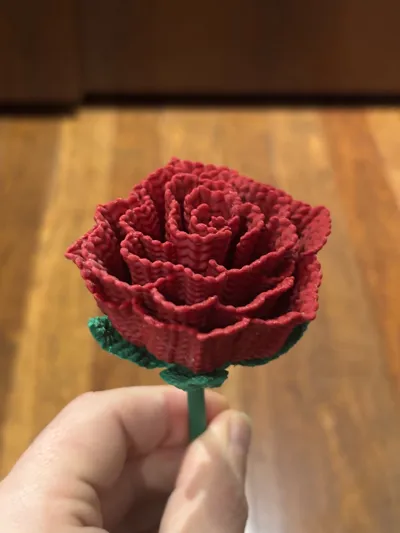 https://makerworld.bblmw.com/makerworld/comment/20260202/1020971727/7e471cc863258a84.jpg