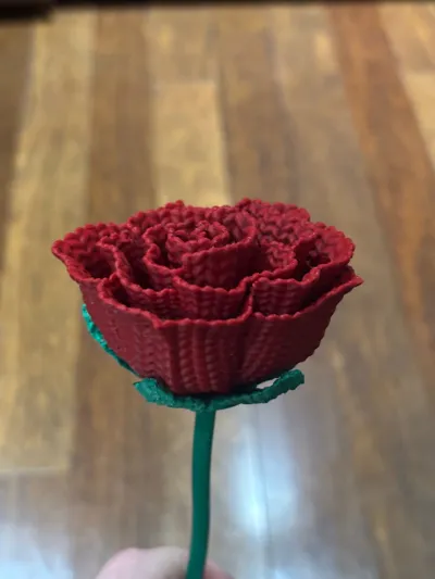 https://makerworld.bblmw.com/makerworld/comment/20260202/1020971727/e8c2c4da26f520b2.jpg