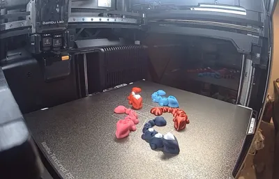https://makerworld.bblmw.com/makerworld/comment/20260202/1078252495/98d8f8aaf772b093.jpg