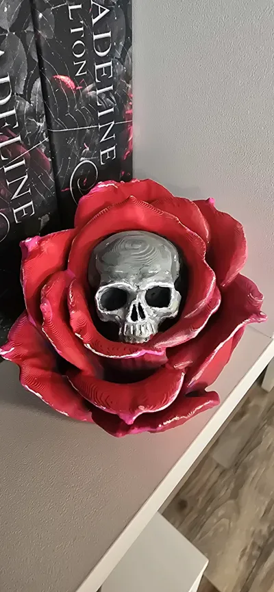 https://makerworld.bblmw.com/makerworld/comment/20260202/1138682854/ca0d385e008796b3.jpg