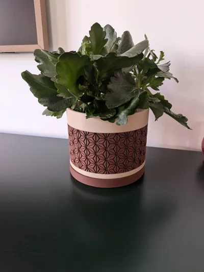 https://makerworld.bblmw.com/makerworld/comment/20260202/114581459/c14478572776c293.jpg