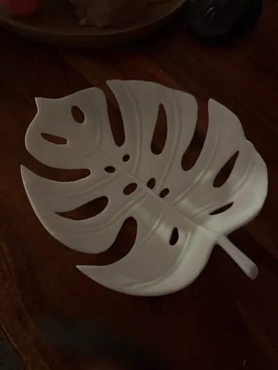 https://makerworld.bblmw.com/makerworld/comment/20260202/1150217259/71b4c4c219efe2d4.jpg