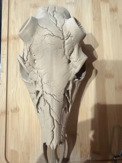 https://makerworld.bblmw.com/makerworld/comment/20260202/1237186390/689112afe9def6ff.jpg