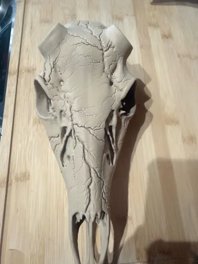 https://makerworld.bblmw.com/makerworld/comment/20260202/1237186390/a39dd071b51edab8.jpg