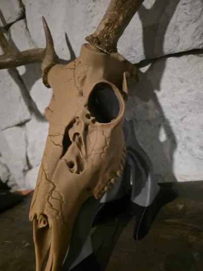 https://makerworld.bblmw.com/makerworld/comment/20260202/1413724937/0b54085d50b7e77d.jpg