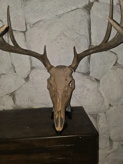https://makerworld.bblmw.com/makerworld/comment/20260202/1413724937/aecb09f8bc168ddb.jpg