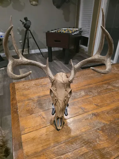 https://makerworld.bblmw.com/makerworld/comment/20260202/1413724937/ca7581e46f21b61d.jpg